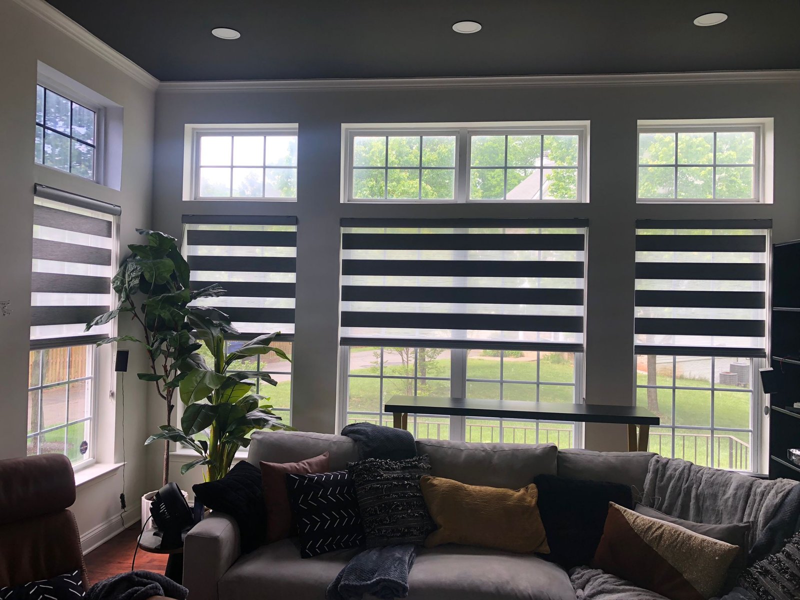 WhatsApp Image 2023-04-29 at 2.41.14 PM (1)