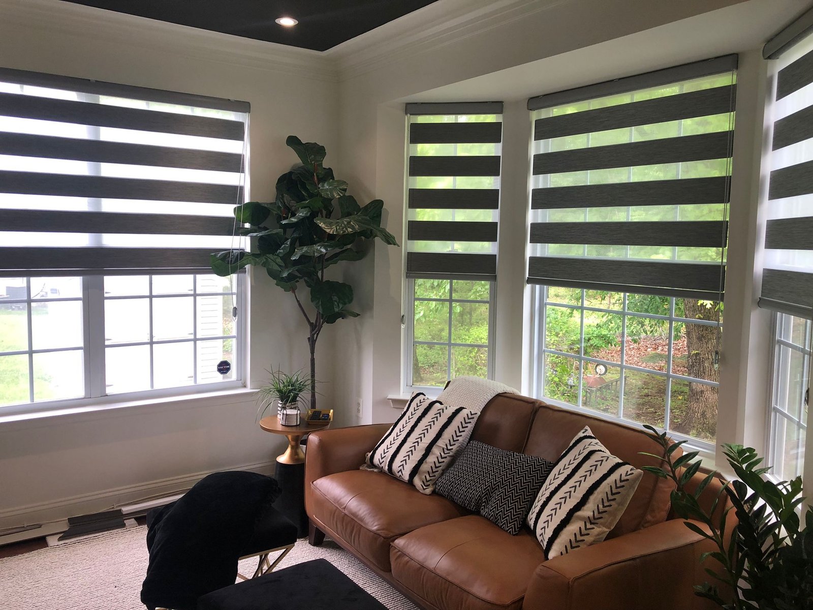 WhatsApp Image 2023-04-29 at 2.41.15 PM (3)